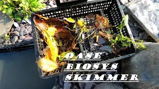 Oase BioSys Skimmer on Eco-System Koi pond UK