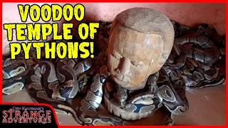 INSIDE THE BALL PYTHON VOODOO TEMPLE IN AFRICA! (Ouidah, Benin, West Africa)