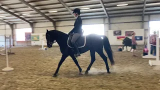 Working Equitation EOH Intro Level