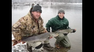 Эльга-2 или в погоне за тайменем