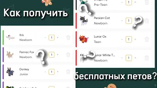 🐱Туториал как получить бесплатно петов на starpets.gg в^•^Adopt me🐱