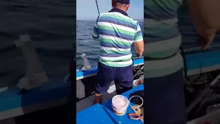 Man Sized Fish