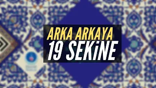 Arka Arkaya 19 SEKİNE