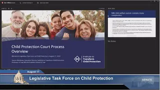 Legislative Task Force on Child Protection