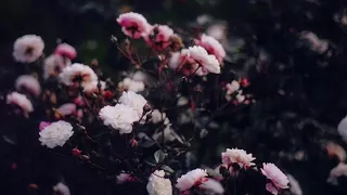 LordeAngel - Love (slowed)