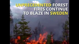 The largest EU civil protection operation helps Sweden fight forest fires