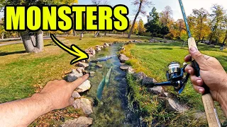 It SHOULDN'T be LEGAL to Fish this TINY Creek!! (PB Catch)