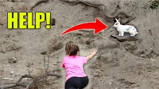 RESCUING A PET BUNNY OFF A CLIFF! (the hardest rescue I've ever done!)