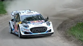 WRC Croatia Rally 2024 Best of Flat Out,Show & Max attack