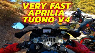 Yamaha R1 FAST TOW Aprilia Tuono V4!