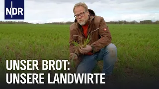 Naturschutz oder maximaler Ertrag? So bauen Landwirte Getreide an | Unser Brot | NDR Doku