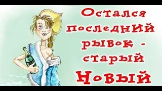 Смешные картинки и карикатуры про Старый Новый Год