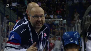 Slovakia vs. Finland Ball Hockey World Championship 2019 final game 3rd period 22/06/2019