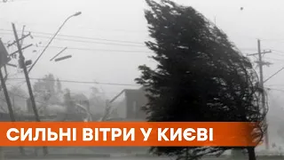 Рекомендуют подготовиться. В Киев идет сильный ветер и похолодание