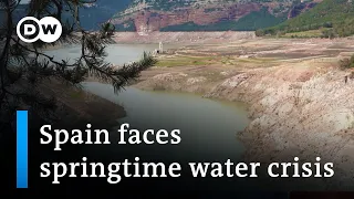 Catalonia has declared a state of emergency because of drought | Focus on Europe