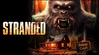 STRANDED Official trailer