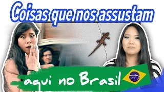 O QUE MAIS NOS ASSUSTAM NO BRASIL!? | Blog das irmãs