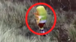 5 SpongeBob caught on camera | spotted in real life