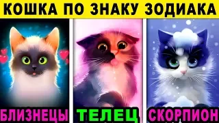 КАКАЯ ПОРОДА КОШЕК ПОДХОДИТ ВАМ ПО ЗНАКУ ЗОДИАКА? Какая ты кошка по знаку зодиака