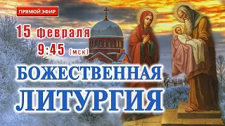 Прямая трансляция: Божественная литургия. Сретение Господне. 15 февраля 2024.