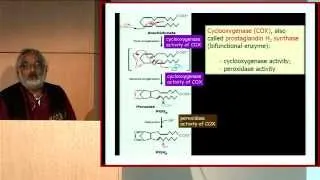 Narasimham Parinandi presents "Lipidomics in Clinical and Translational Research"