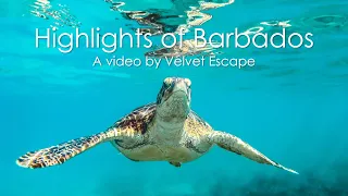 Highlights of Barbados