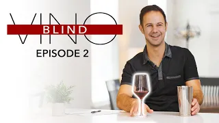 Can He Guess the Wine?! Wine Expert Blind Tastes! | Vino Blind (Ep. 2)