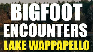 Bigfoot Encounters At Lake Wappapello | Encounters After A Brain Injury And Strokes