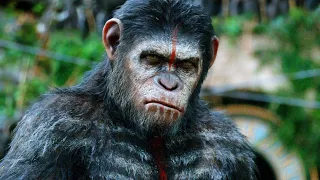 CAESAR VOICEOVER DAWN OF THE PLANET OF THE APES