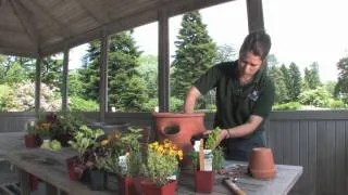 The Edible Garden — Planting a Strawberry Pot