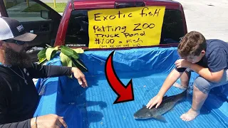 DIY TRUCK FISH POND Aquarium Petting ZOO!!!