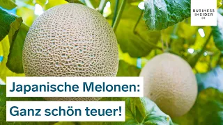 Zwei Melonen für 45.000 Dollar versteigert! Darum kosten die japanischen Früchte so viel