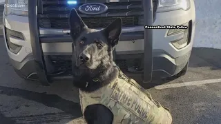 Fallen Connecticut K-9 'Broko" honored with first-ever Medal of Valor