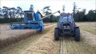 Irish Grain Harvest 2015 - Fortschritt E514 Combine