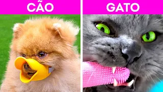 CÃO VS. GATO | Truques Inteligentes Para Donos de Pets e Artesanatos Fofos