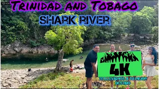 Trinidad and Tobago Shark River