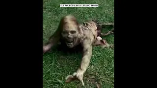 ELE ROUBOU A BICICLETA DO ZUMBI - THE WALKING DEAD #shorts