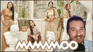 MAMAMOO: I Say Mamamoo - The Best [PT 1] | REACTION | ALBUM OF THE WEEK