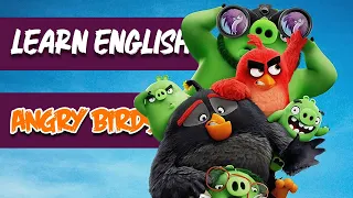 Learn English With Angry Birds