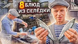 8 dishes from Danubia HERRING 8 fish RECIPES prepared by Lipovan # 204. ENG SUB.