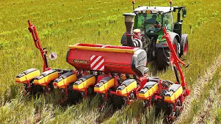 NO TILL Corn sowing 2024 FENDT 312 + VADERSTAD TEMPO F8