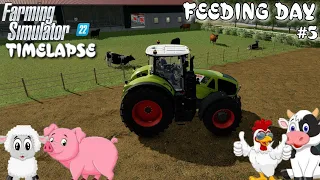 Feeding day | Preparing new field for Sunflowers | Farming Simulator 22 Timelapse