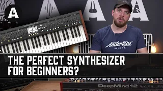 10 Reasons Why the Behringer DeepMind 12 is the Perfect First Synth!