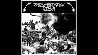Parlamentarisk Sodomi - 7" split with Laserguys FULL EP (2011 - Grindcore)
