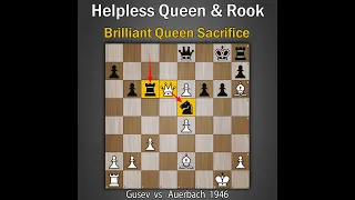 Helpless Queen and Rook | Queen Sac | Gusev vs Auerbach 1946