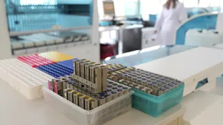 Der Weg der Probe durch das Labor