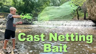 Cast Netting Bait for His PET BASS!