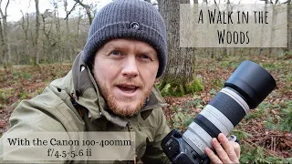 Canon 100-400mm f/4.5-5.6 ii | A Walk in the Woods