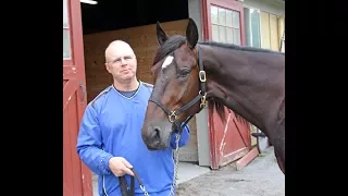 2017 Hambletonian Contenders - Bill’s Man, Giveitgasandgo, Dover Dan