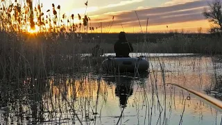 Рибалка чи на Сазана чи на Коропа в очереті на Боковий Кивок. Рибалка НА Карася до ВІЙНИ з Човна.